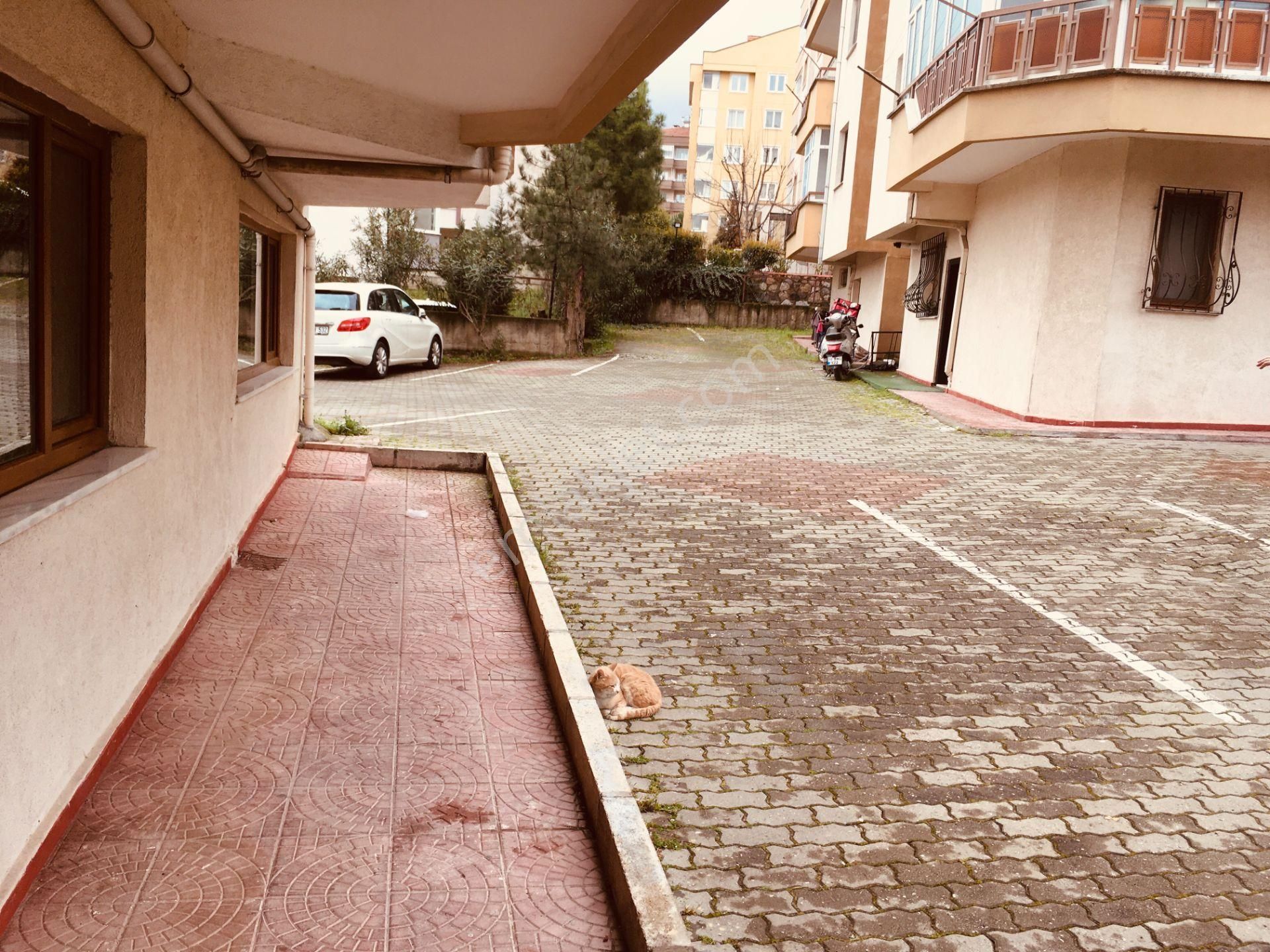 Barış Mahallesi Yıldız Bilge Sitesi İçerisinde 3+1 Kombili Daire - Görsel 26