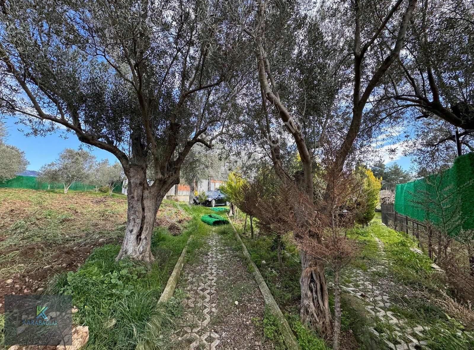 Buca Otoban Yakını 5+1 Havuzlu Şömineli Ultra Lüks Villa - Görsel 7