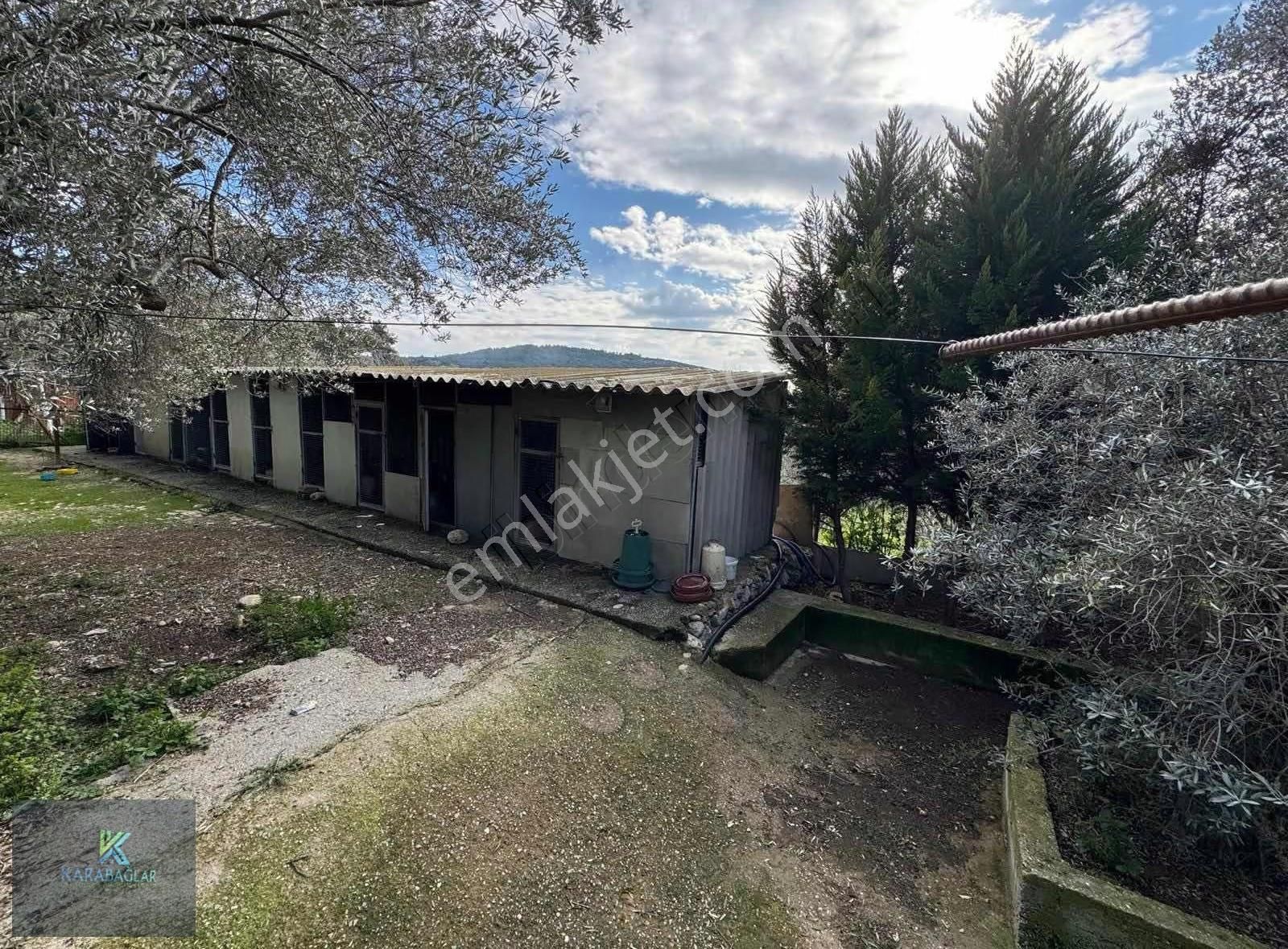 Buca Otoban Yakını 5+1 Havuzlu Şömineli Ultra Lüks Villa - Görsel 10