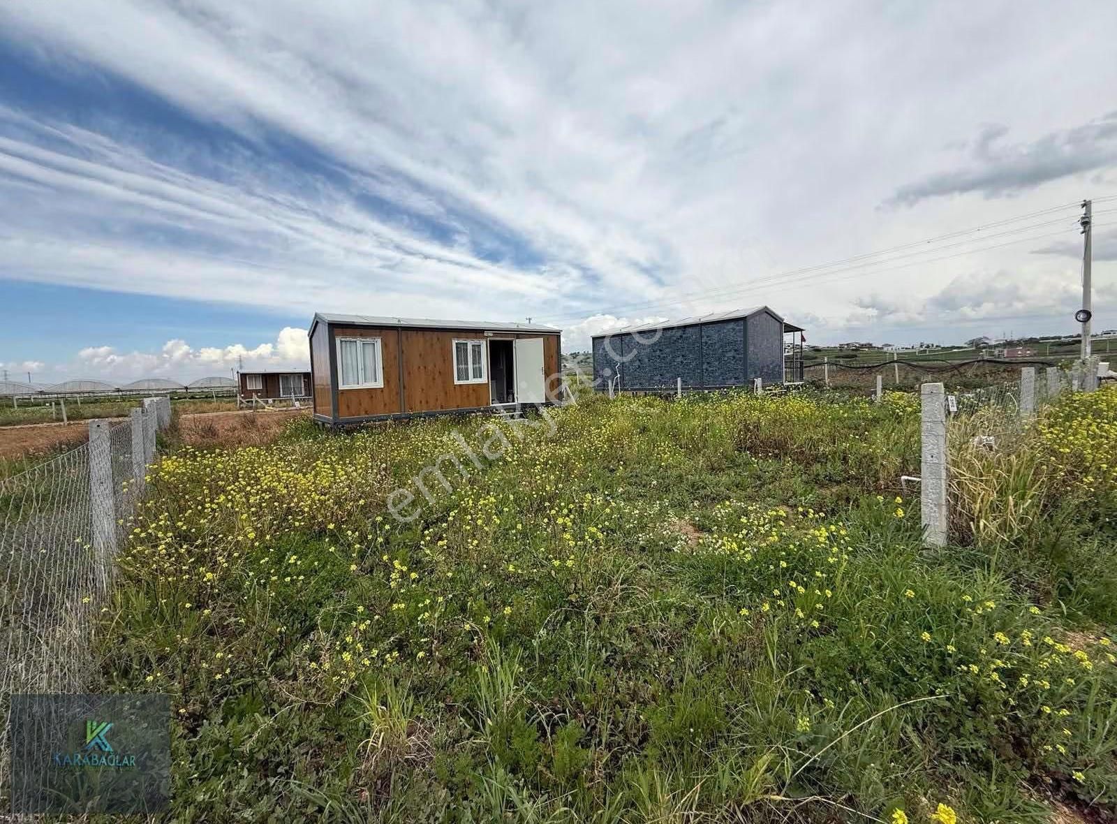 Tekeli İzbana Yakın 1+1 Evi Olan 270m2/ Gümüldür E 20 Dk - Görsel 16