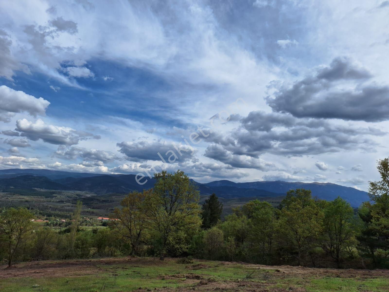 Muhteşem Kaz Dağları Manzaralı Ev Yapımına Uygun Tarla - Görsel 6
