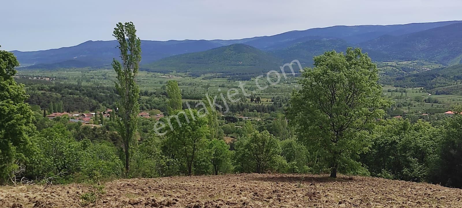 Muhteşem Kaz Dağları Manzaralı Ev Yapımına Uygun Tarla - Görsel 2