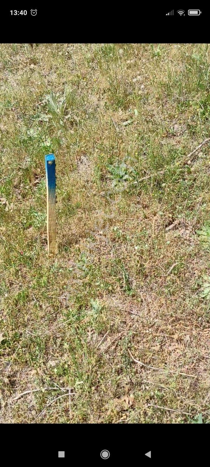 Muhteşem Kaz Dağları Manzaralı Ev Yapımına Uygun Tarla - Görsel 9