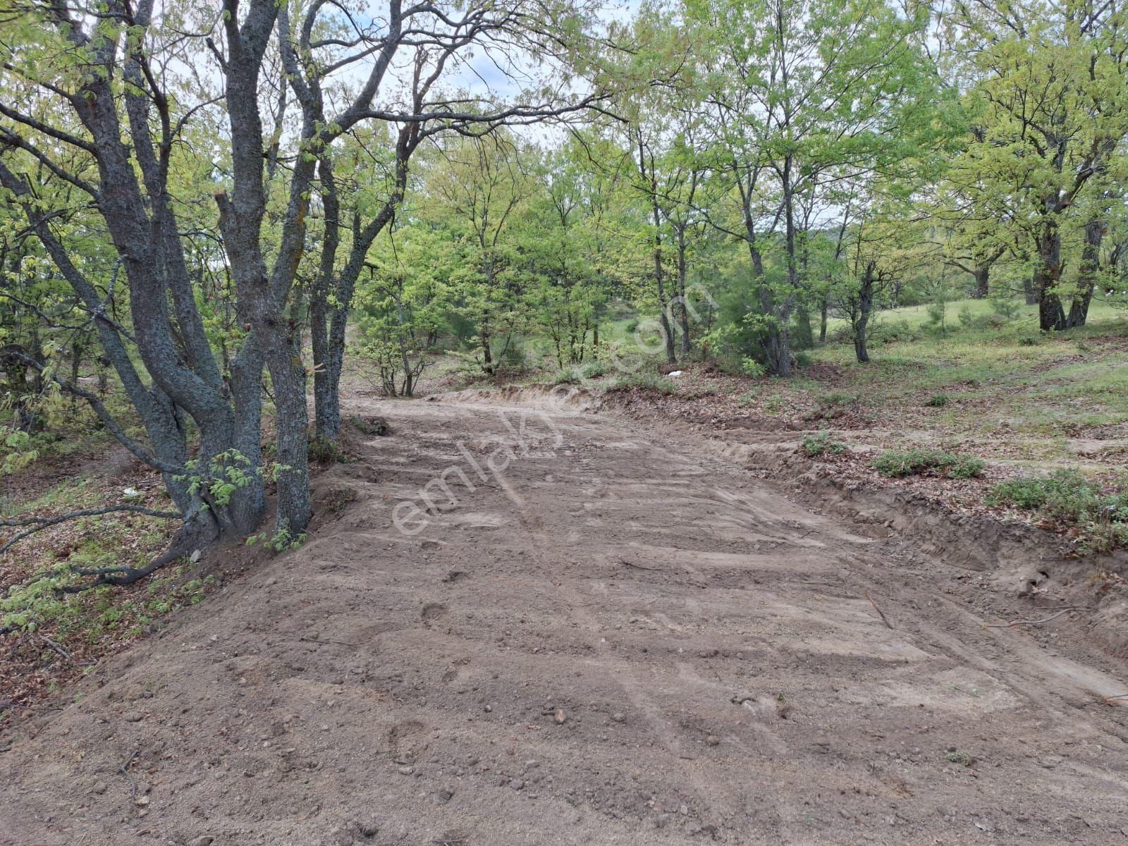 Muhteşem Kaz Dağları Manzaralı Ev Yapımına Uygun Tarla - Görsel 3