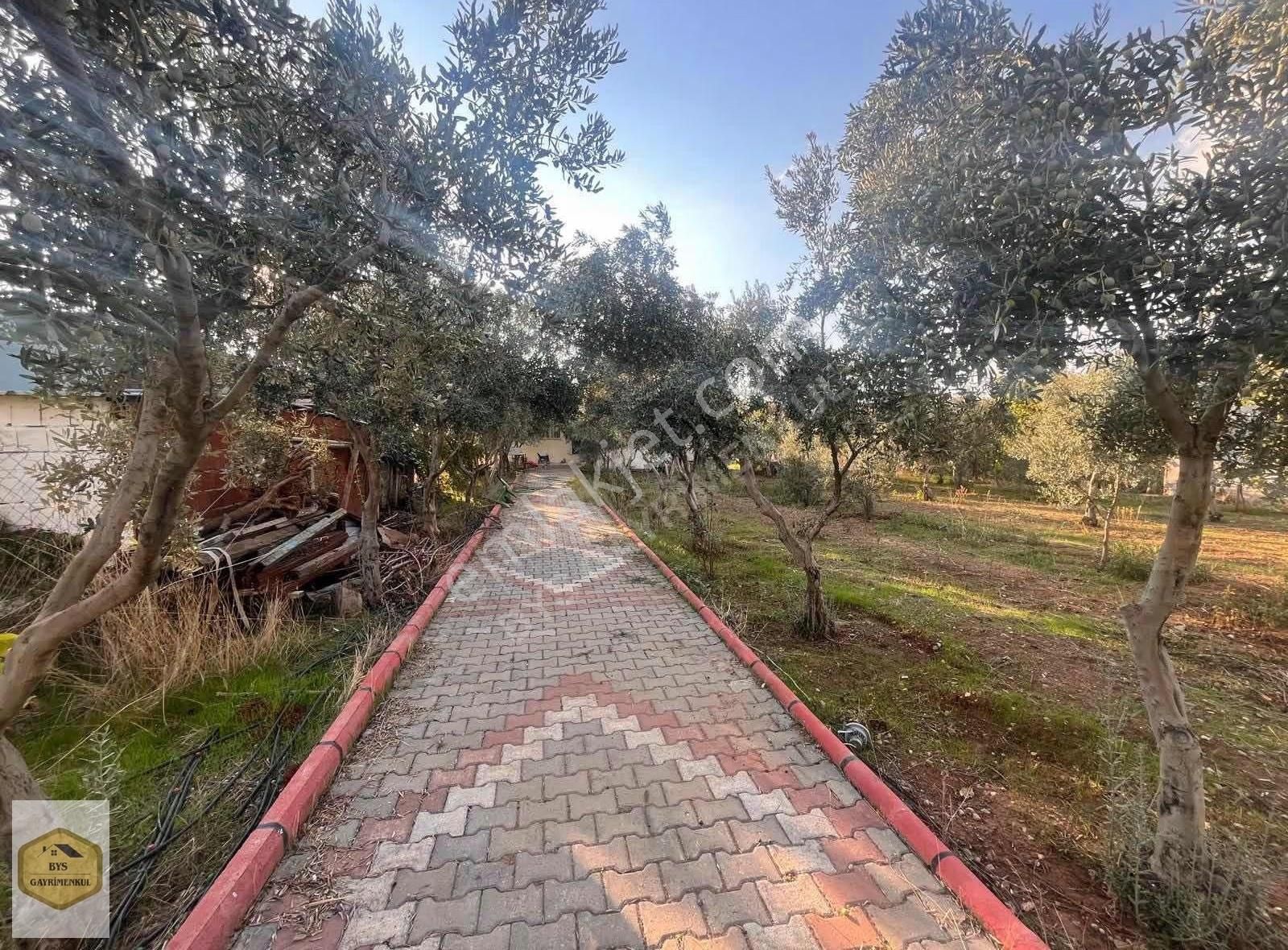 Bys'den Rızai Taksimli Yapı Kayıtlı Evi Olan Satılık Tarla - Görsel 11