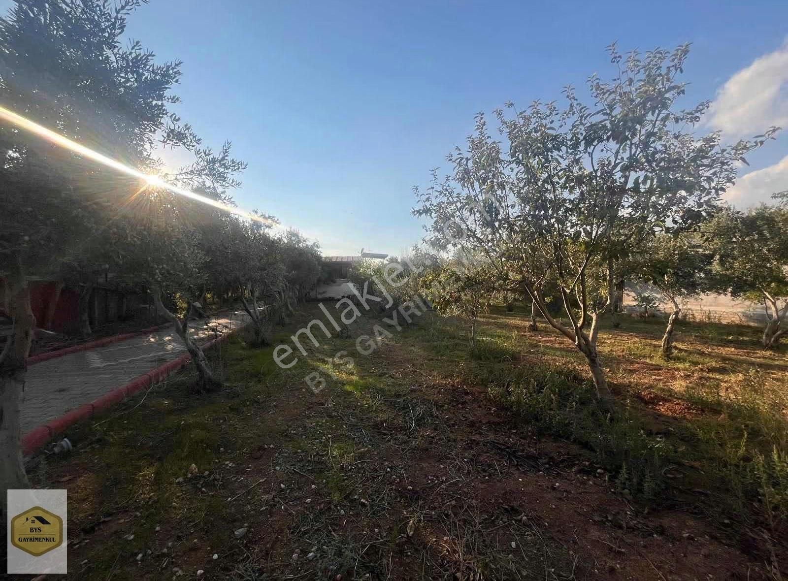 Bys'den Rızai Taksimli Yapı Kayıtlı Evi Olan Satılık Tarla - Görsel 9