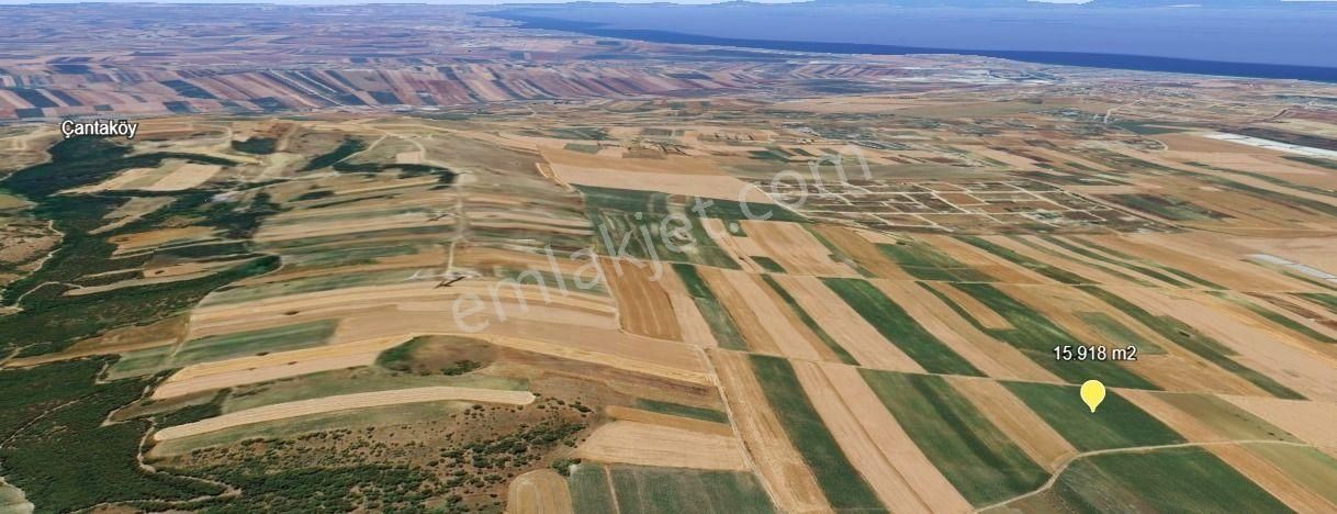 Silivri Değirmenköy Kadastral Yola Cephe 15.918 M2 Satılık Tarla - Görsel 4