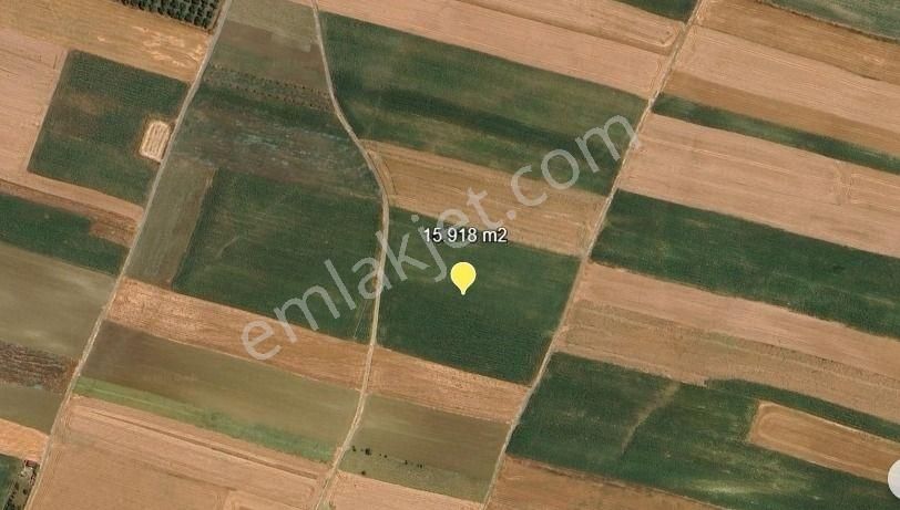 Silivri Değirmenköy Kadastral Yola Cephe 15.918 M2 Satılık Tarla - Görsel 3