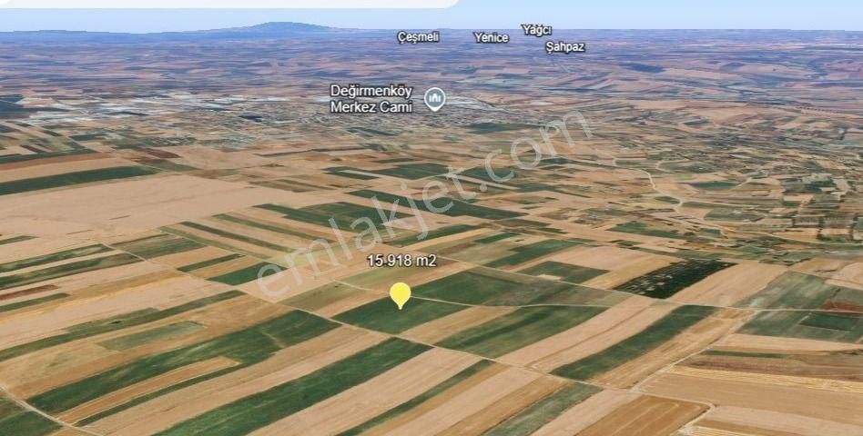 Silivri Değirmenköy Kadastral Yola Cephe 15.918 M2 Satılık Tarla - Görsel 2