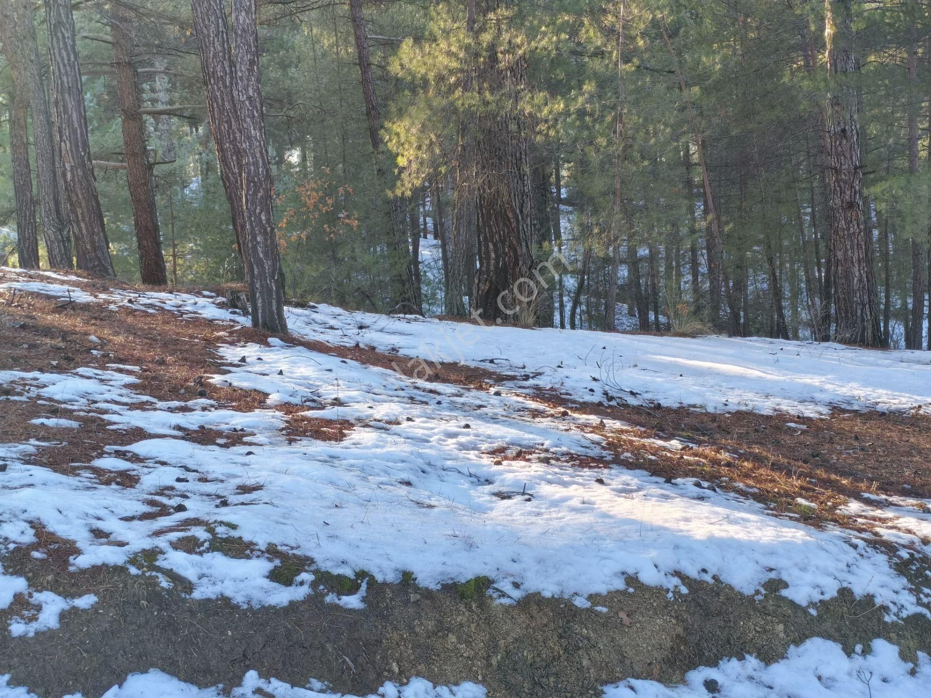 Kar Emlaktan Eskikonacıkta 1 Dönüm Satılık Arsa - Görsel 7