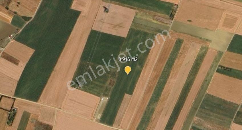 Değirmenköy'de Kadastral Yola Cepheli 8.916 M2 Yatırımlık Tarla - Görsel 5