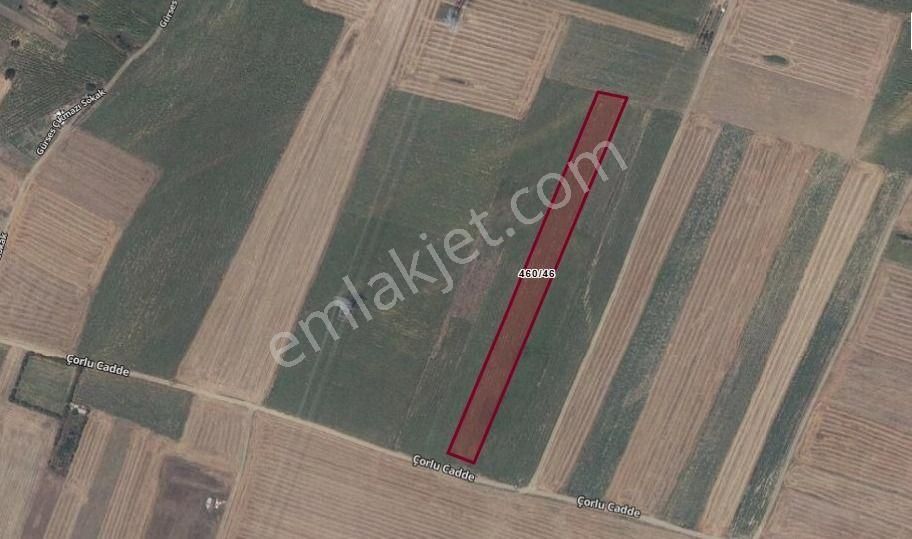 Değirmenköy'de Kadastral Yola Cepheli 8.916 M2 Yatırımlık Tarla - Görsel 9