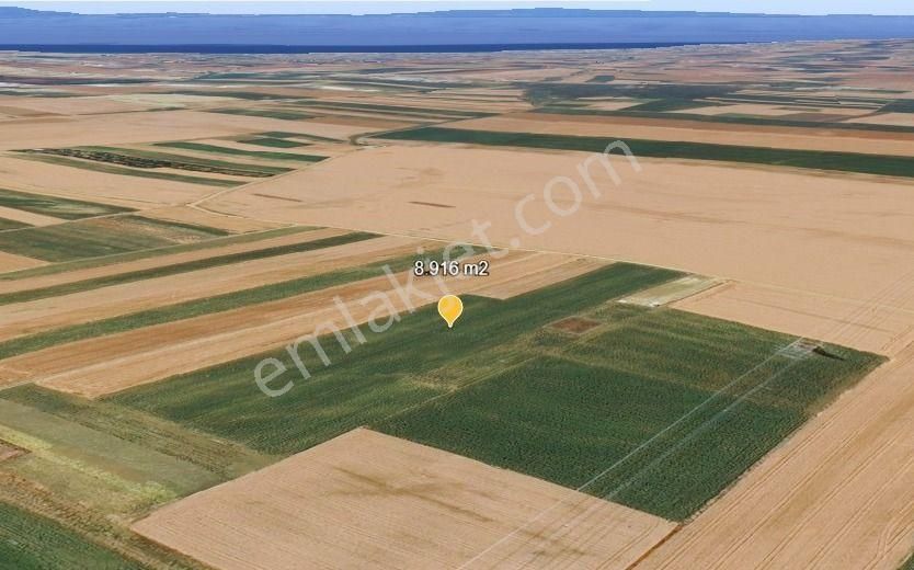 Değirmenköy'de Kadastral Yola Cepheli 8.916 M2 Yatırımlık Tarla - Görsel 4