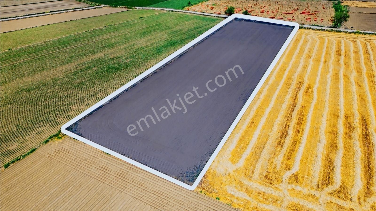 Foça Gerenköy'de Satılık 10 Dönüm Tarla - Görsel 5