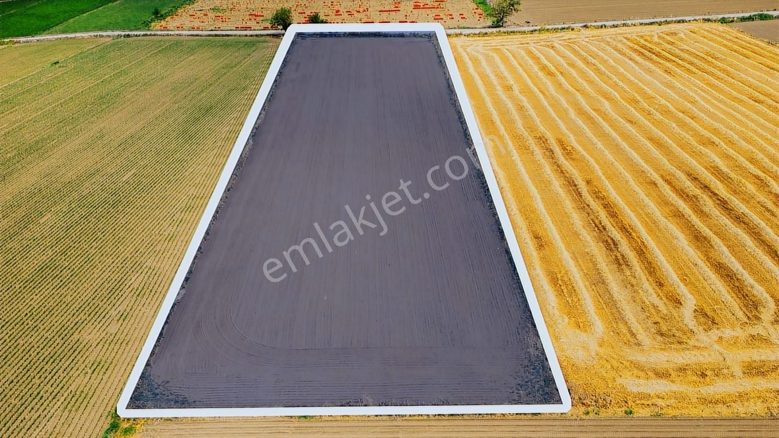 Foça Gerenköy'de Satılık 10 Dönüm Tarla - Görsel 19