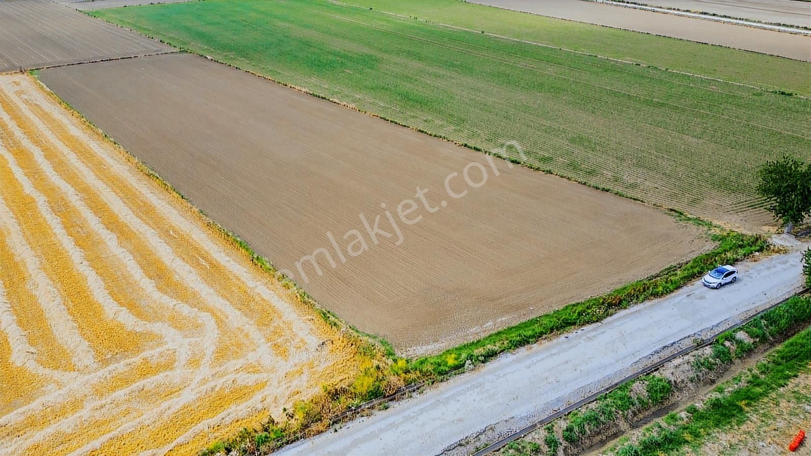 Foça Gerenköy'de Satılık 10 Dönüm Tarla - Görsel 27