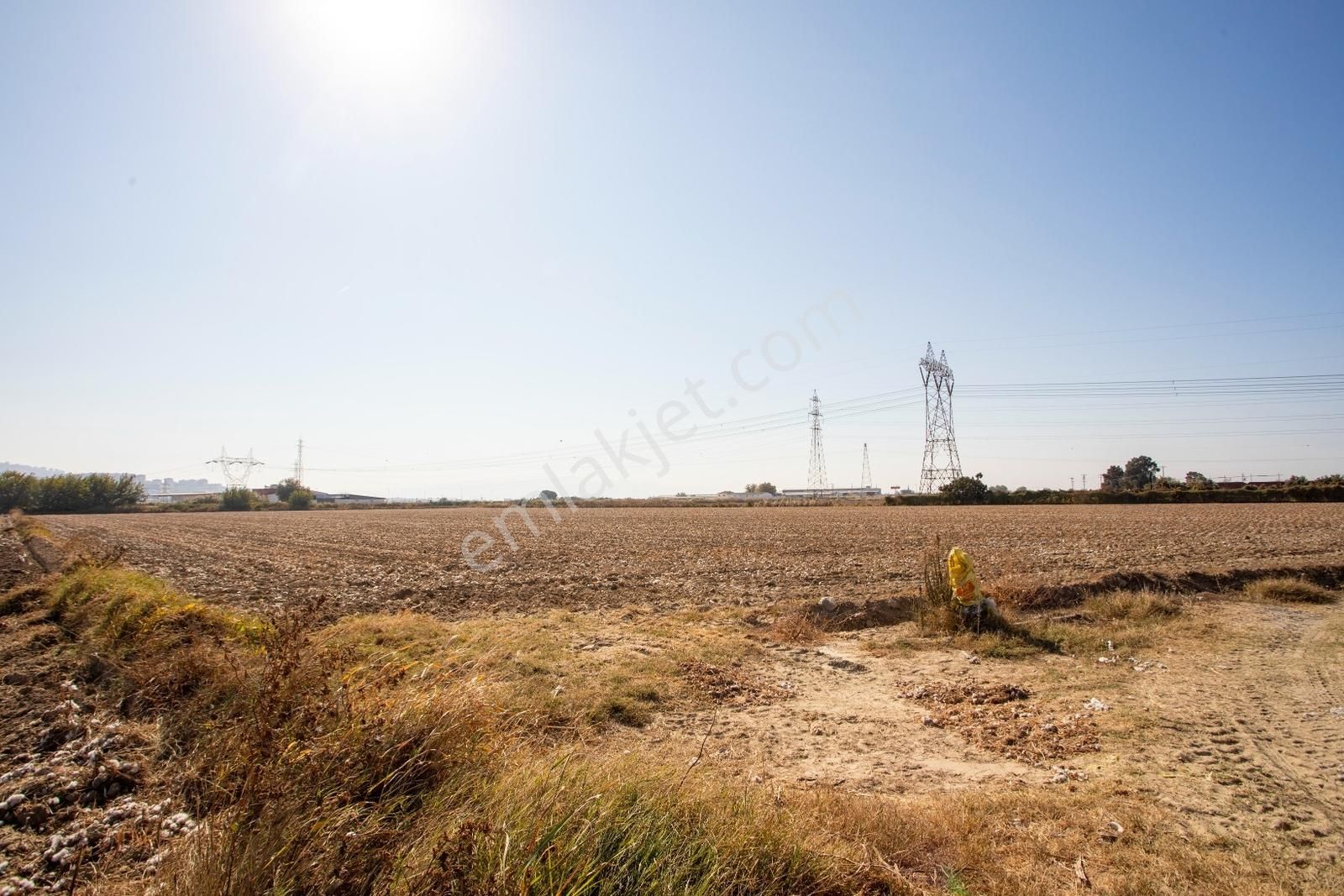 Menemen Ulukent Ovasında Satılık 16.050m2 Tarla - Görsel 2