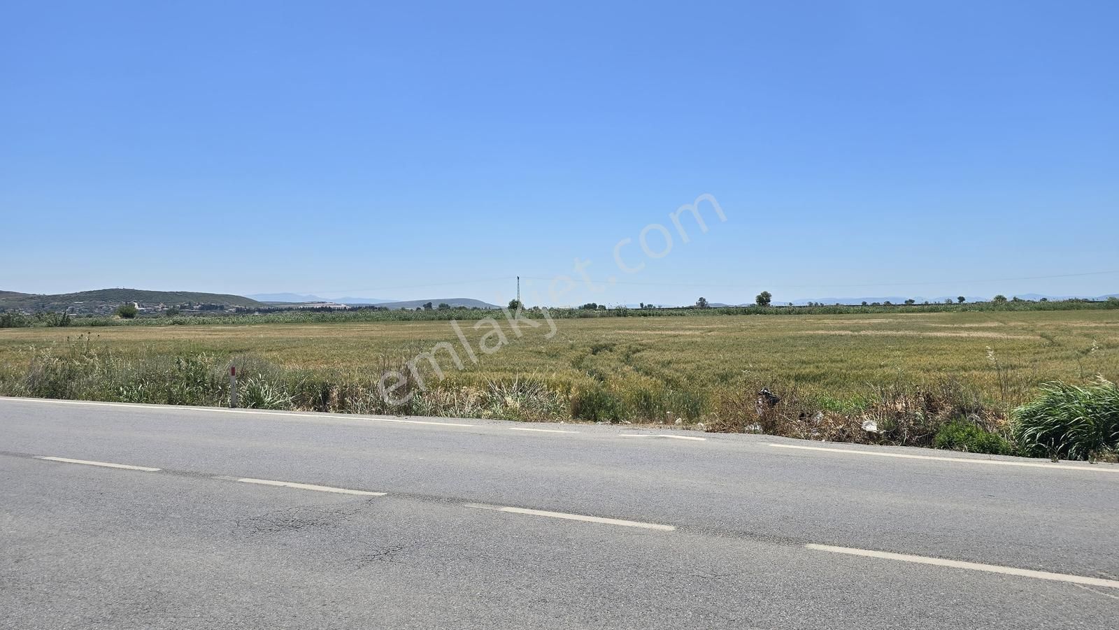 Foça Gerenköy Anayol Üzeri Satılık Tarla - Görsel 9