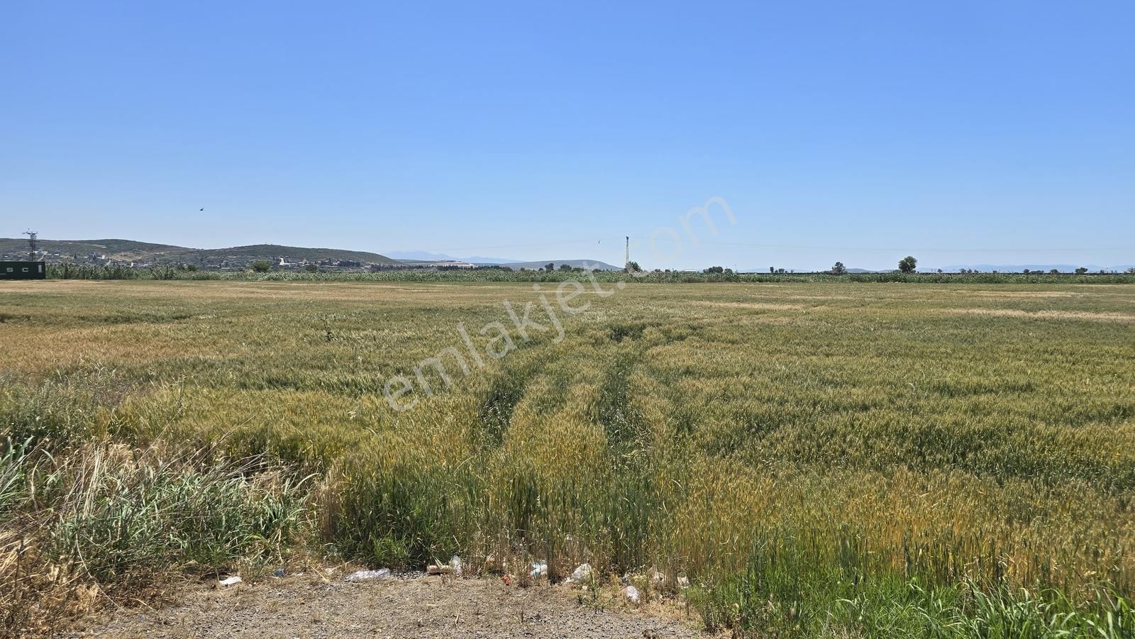 Foça Gerenköy Anayol Üzeri Satılık Tarla - Görsel 31