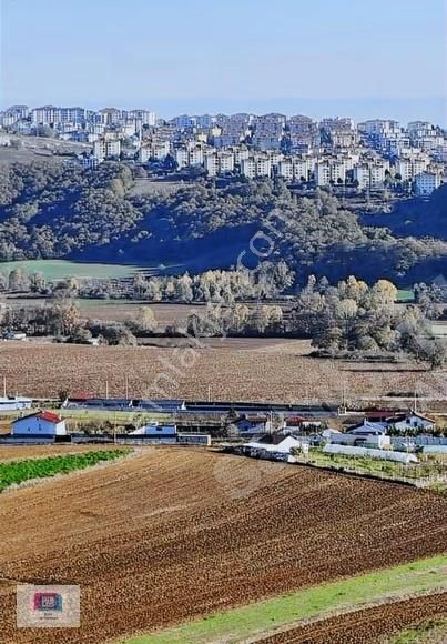 Sakarya Adapazarı Aşırlar Köyünde Yatırımlık Arsa