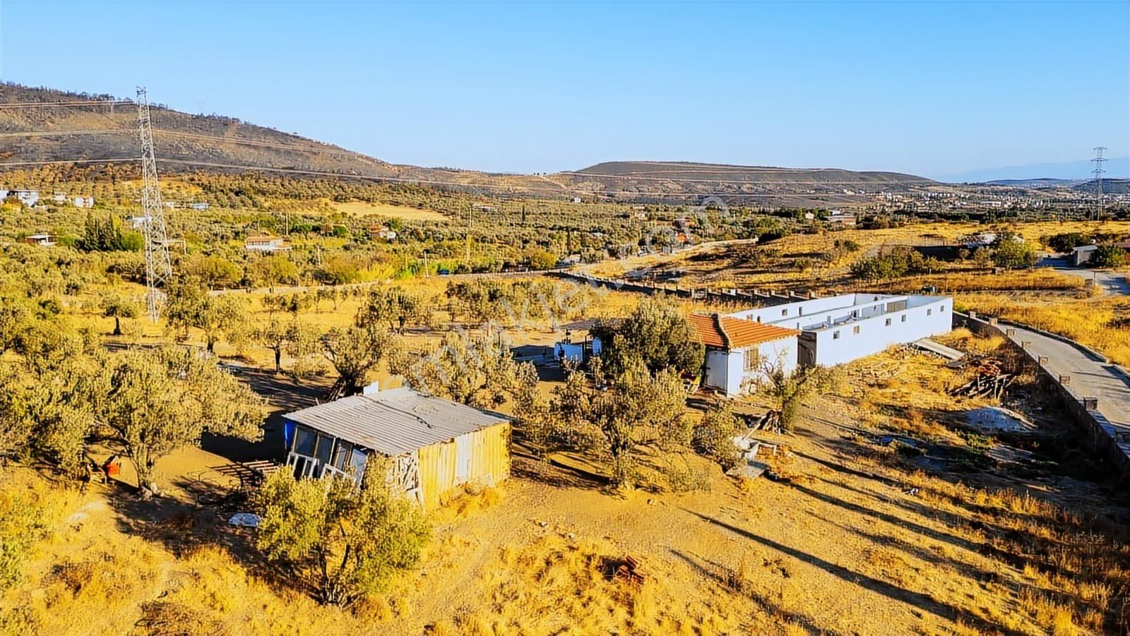 Foça Yeniköy'de Satılık 40 Dönüm Tarla - Görsel 28