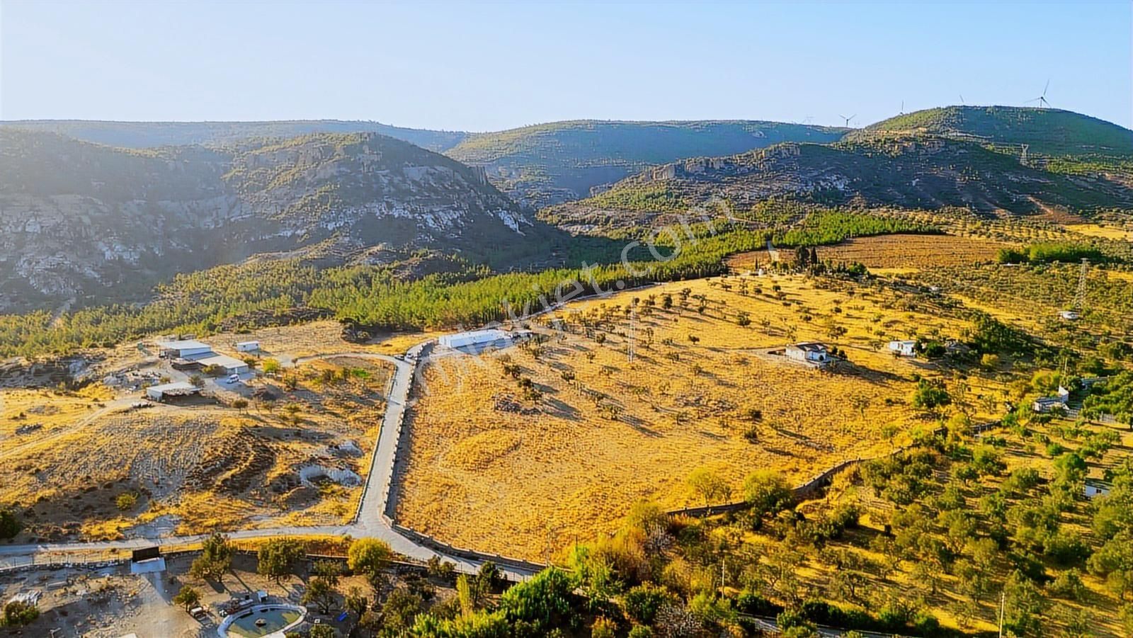 Foça Yeniköy'de Satılık 40 Dönüm Tarla - Görsel 3