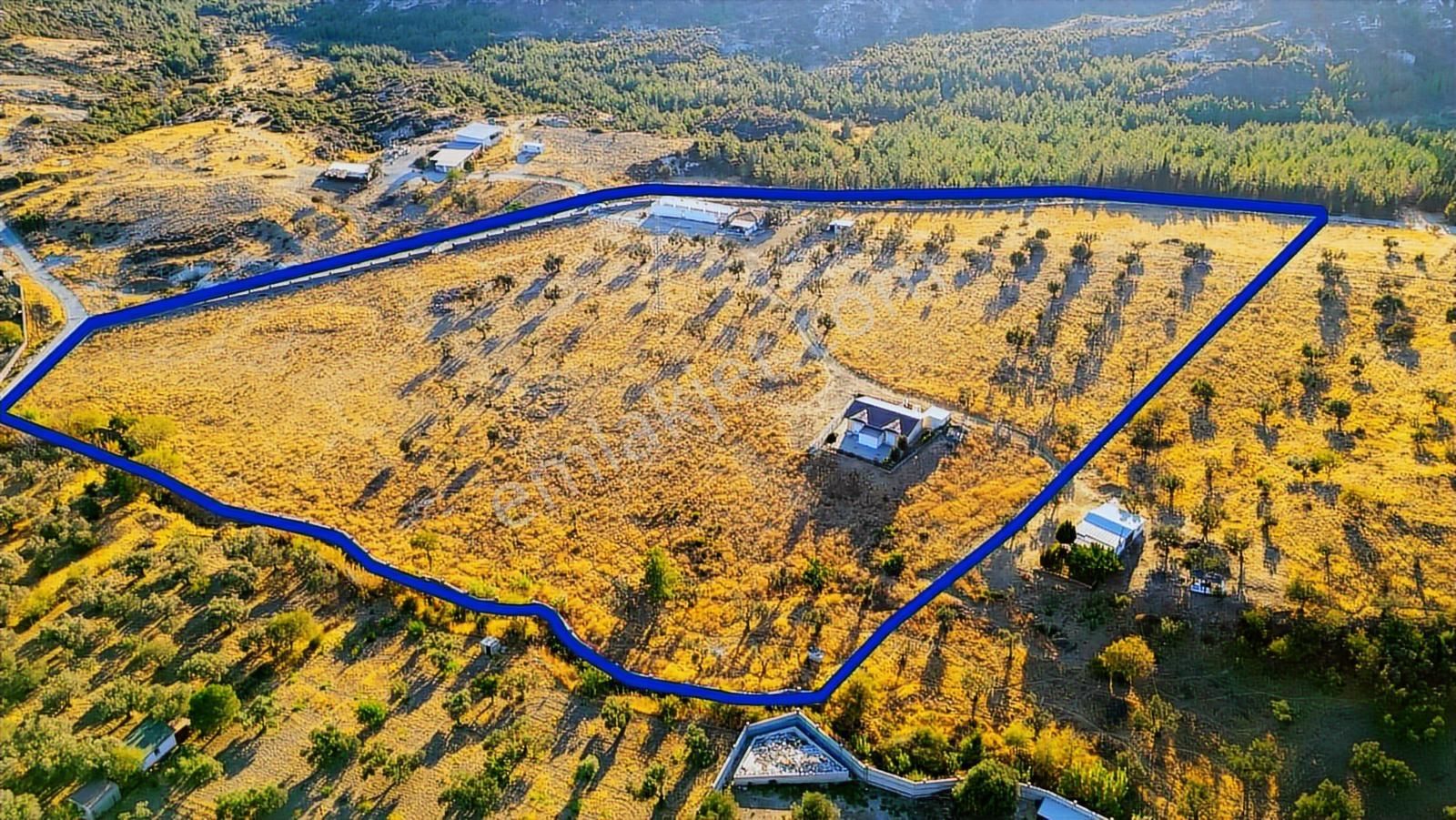 Foça Yeniköy'de Satılık 40 Dönüm Tarla - Görsel 35