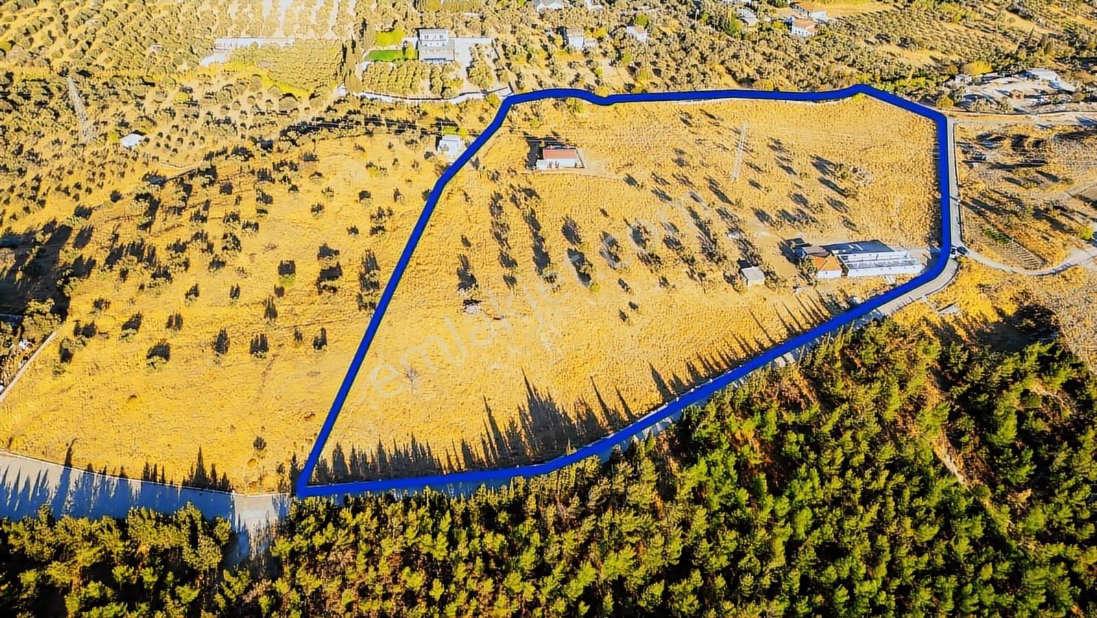 Foça Yeniköy'de Satılık 40 Dönüm Tarla - Görsel 8