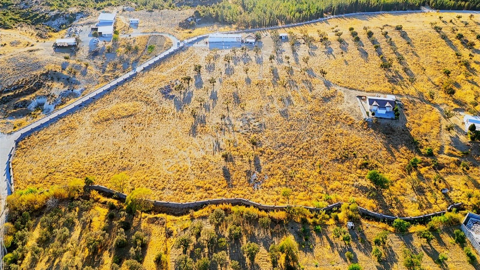 Foça Yeniköy'de Satılık 40 Dönüm Tarla - Görsel 12