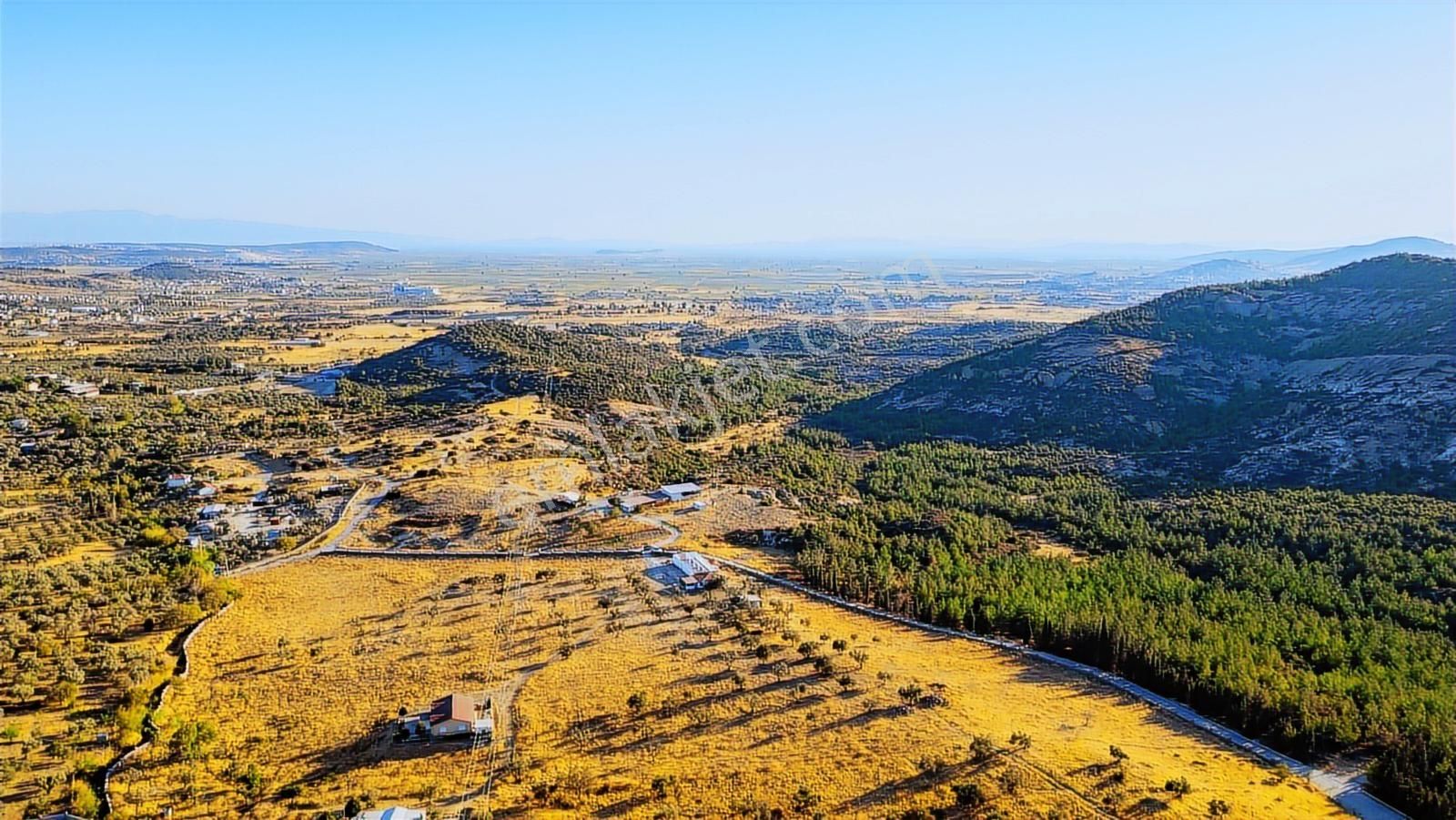 Foça Yeniköy'de Satılık 40 Dönüm Tarla - Görsel 13