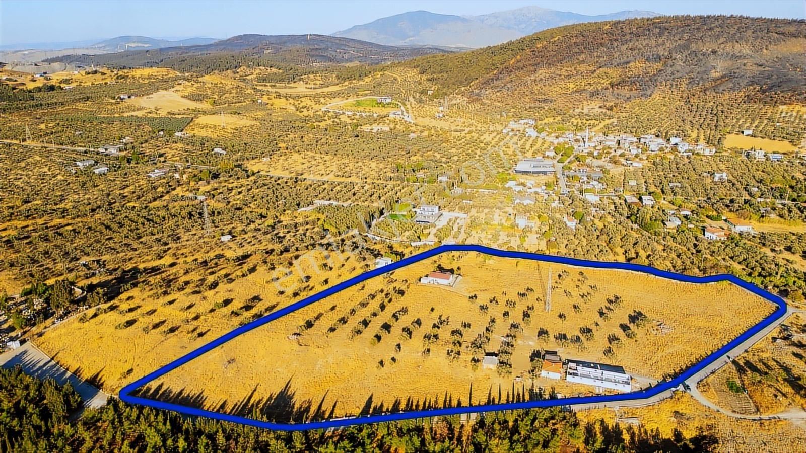 Foça Yeniköy'de Satılık 40 Dönüm Tarla - Görsel 30