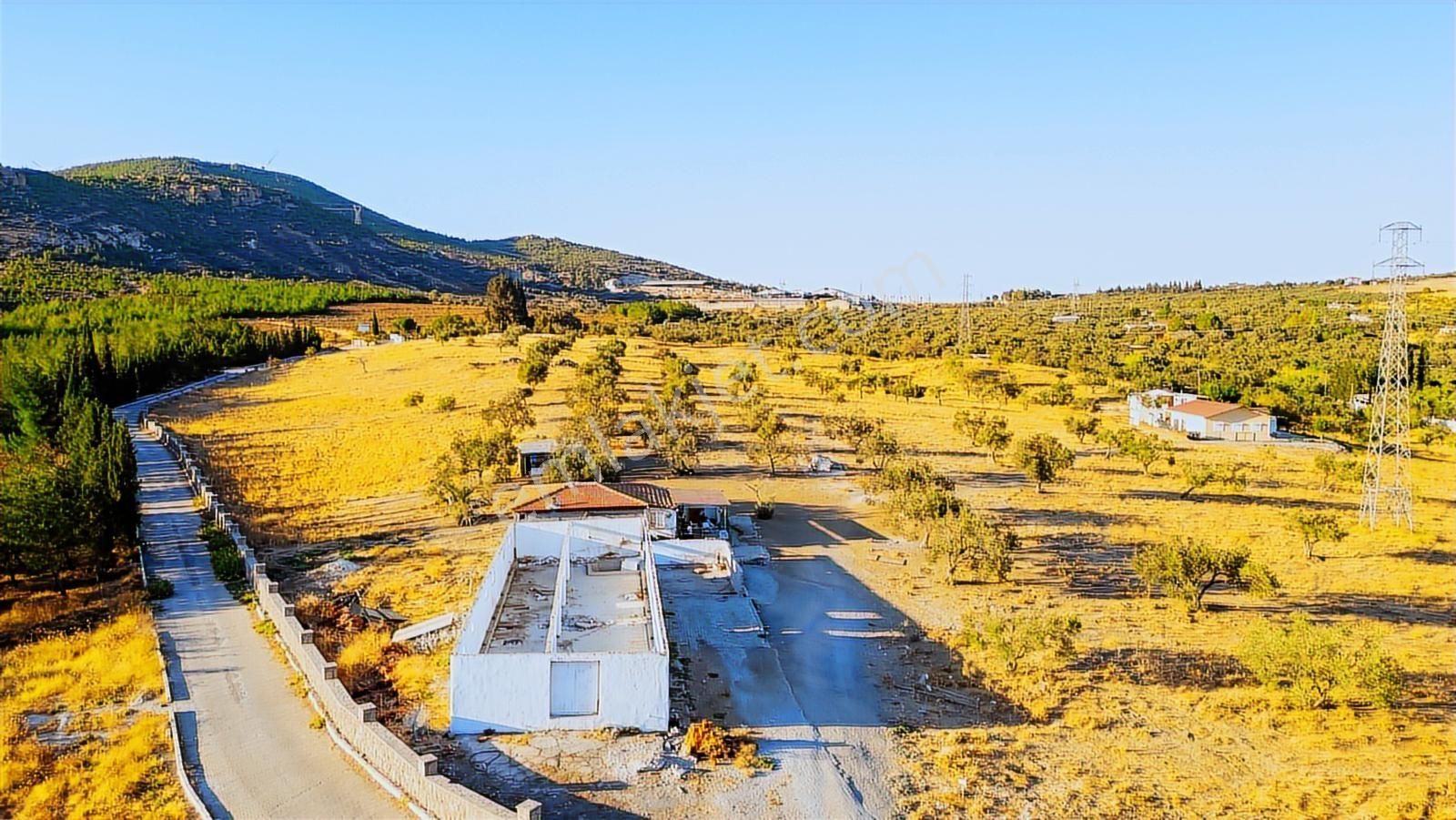 Foça Yeniköy'de Satılık 40 Dönüm Tarla - Görsel 17