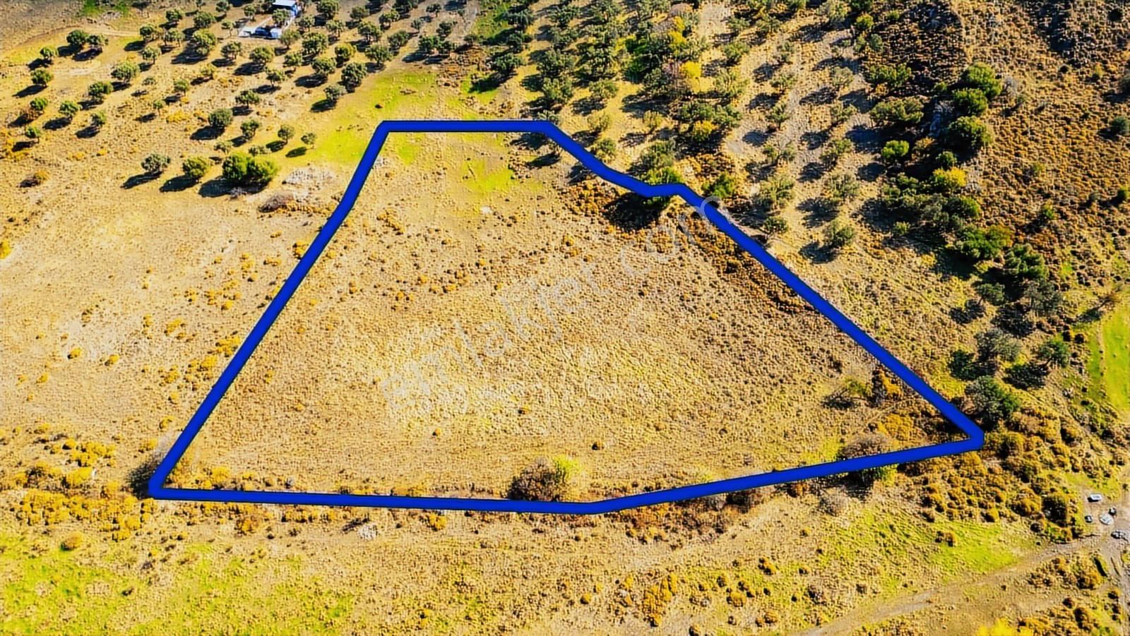 Yenifoça Fevzi Çakmak Mah. Satılık Tek Tapu Tarla - Görsel 11