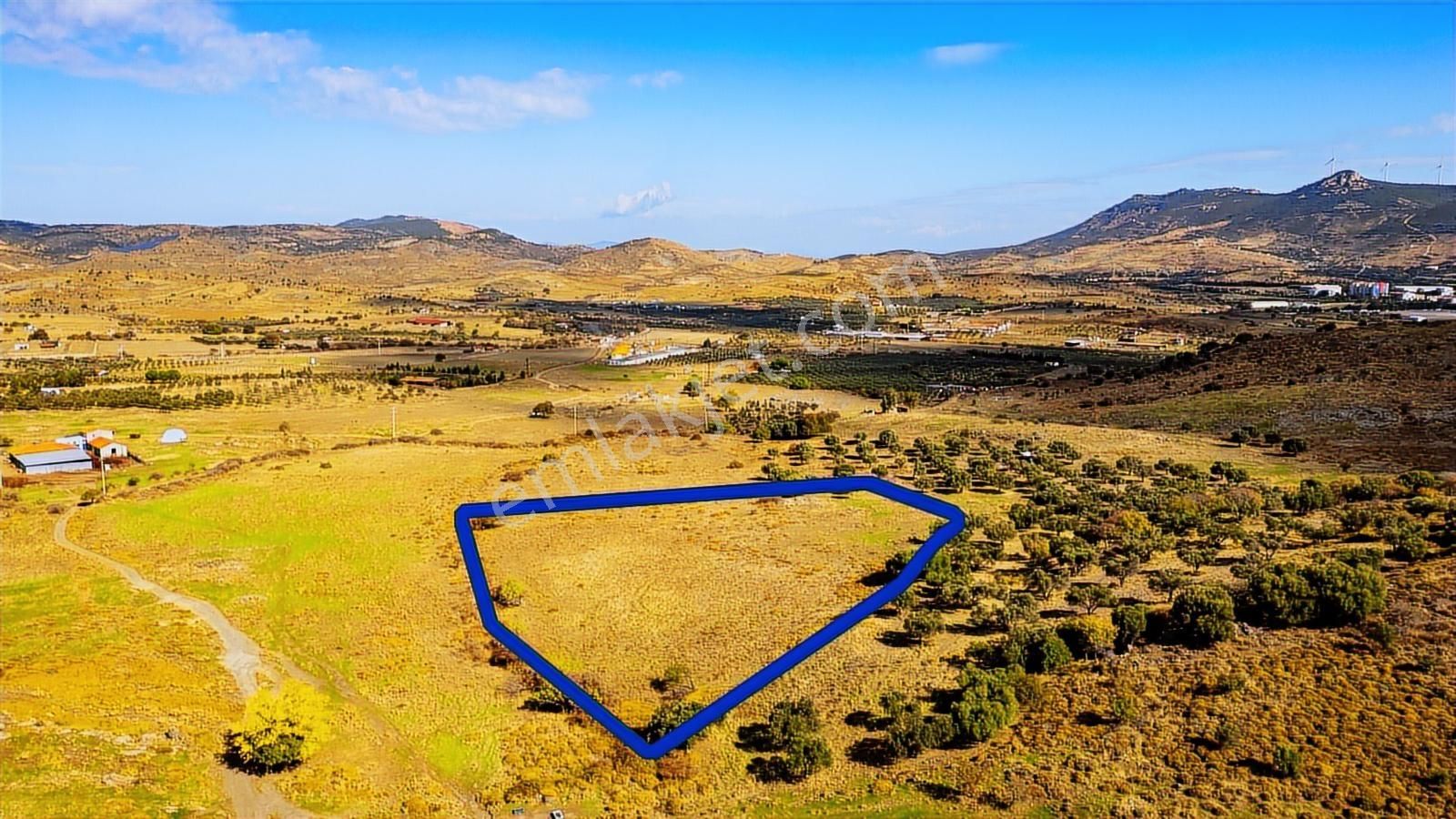 Yenifoça Fevzi Çakmak Mah. Satılık Tek Tapu Tarla