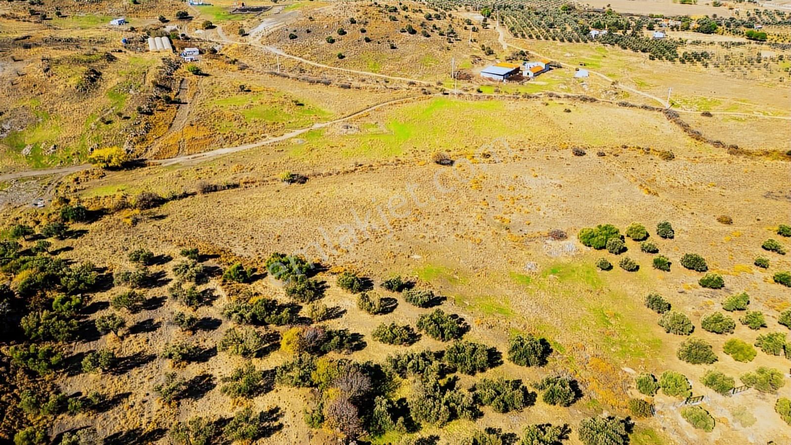 Yenifoça Fevzi Çakmak Mah. Satılık Tek Tapu Tarla - Görsel 32