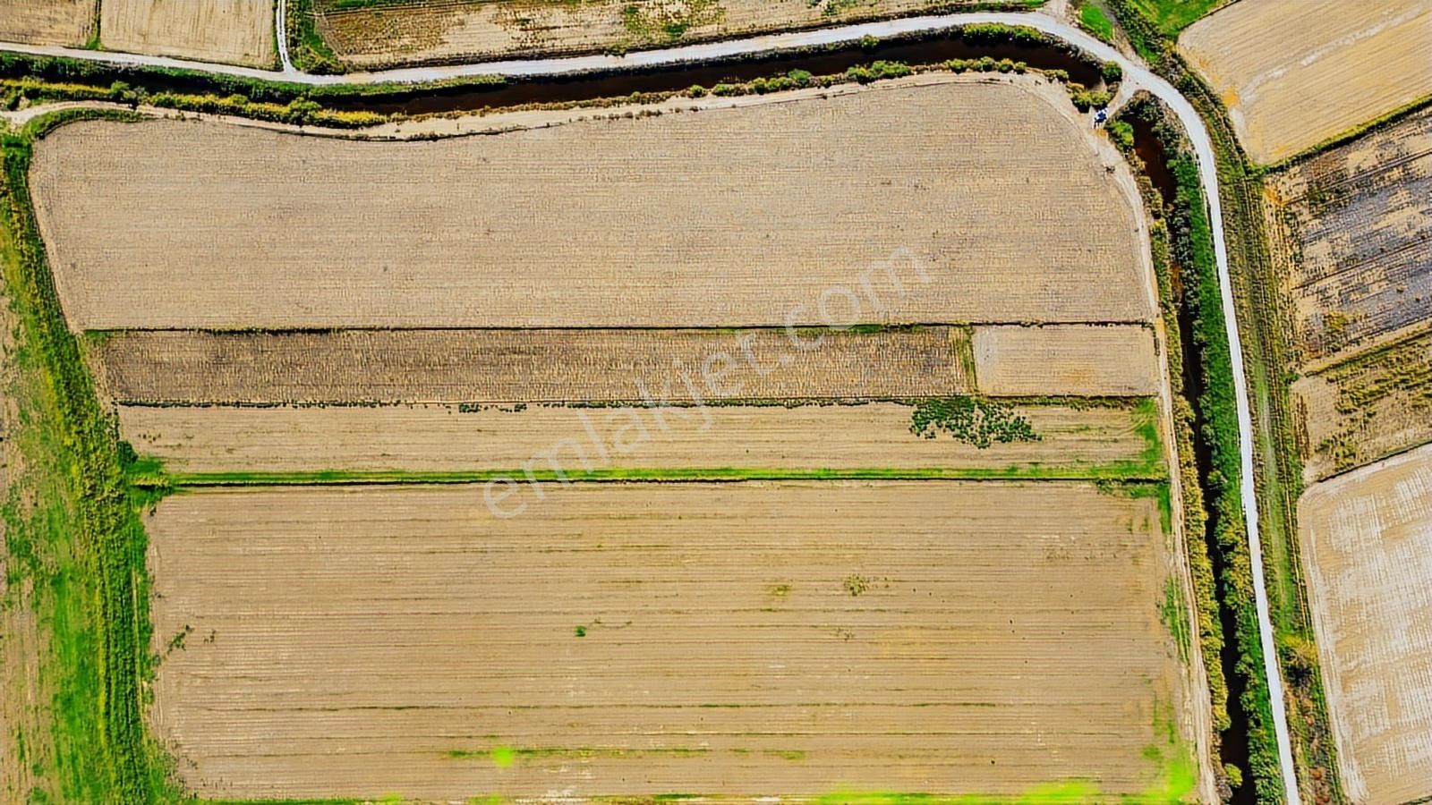 Foça Yenibağarası Mahallesinde Satılık Tarla - Görsel 21