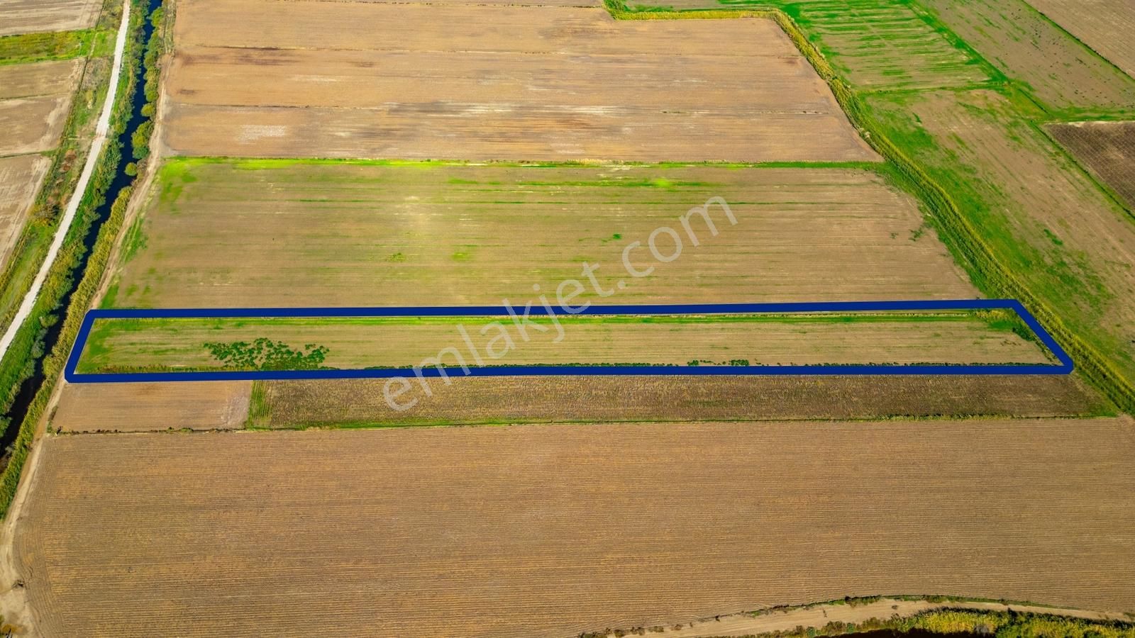Foça Yenibağarası Mahallesinde Satılık Tarla - Görsel 12