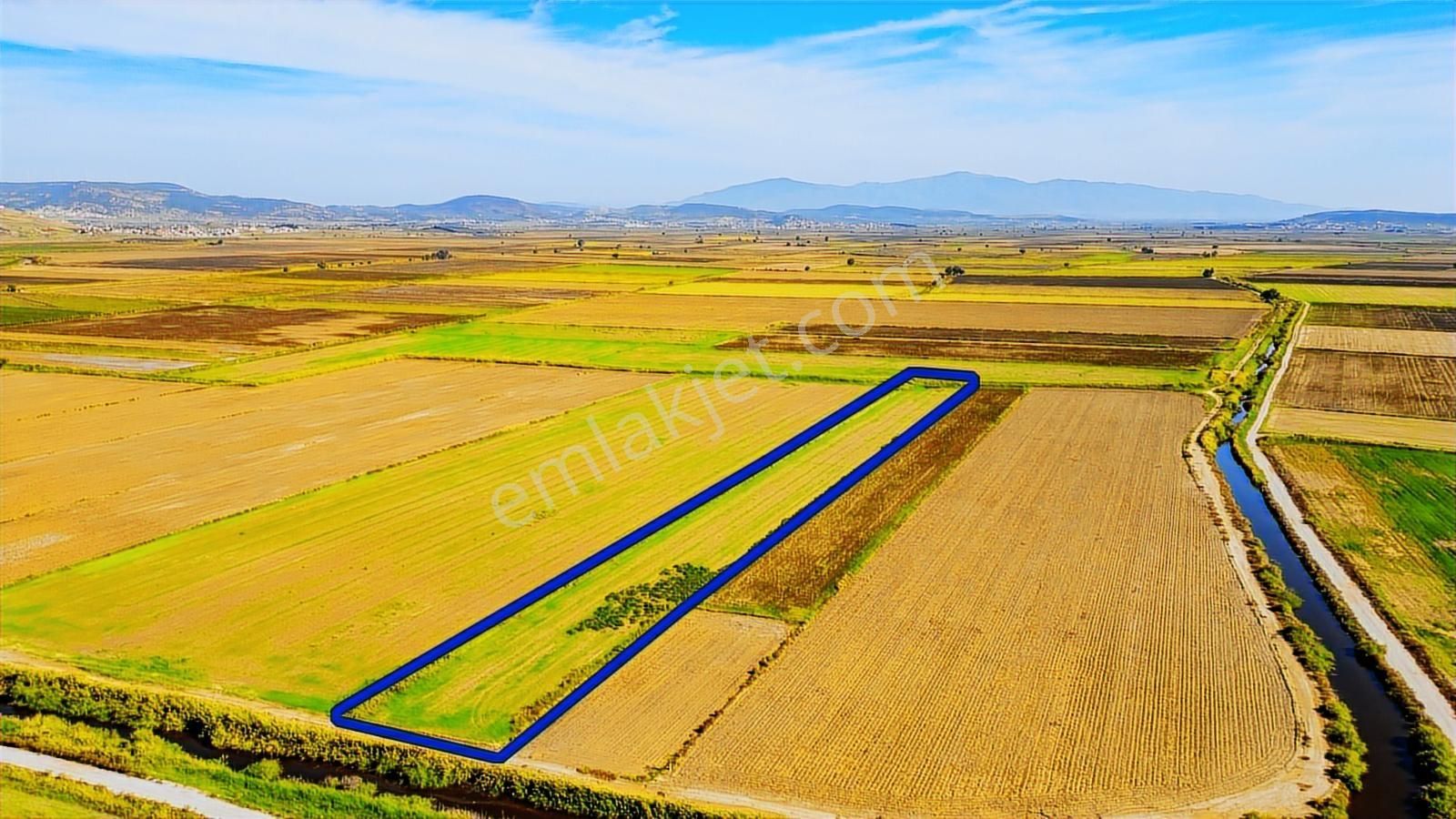 Foça Yenibağarası Mahallesinde Satılık Tarla - Görsel 6