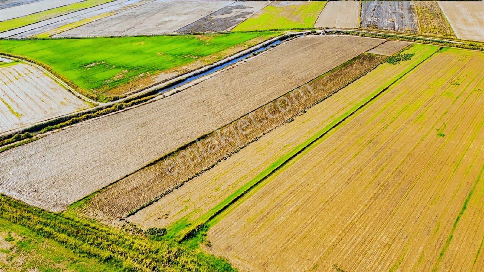 Foça Yenibağarası Mahallesinde Satılık Tarla - Görsel 15