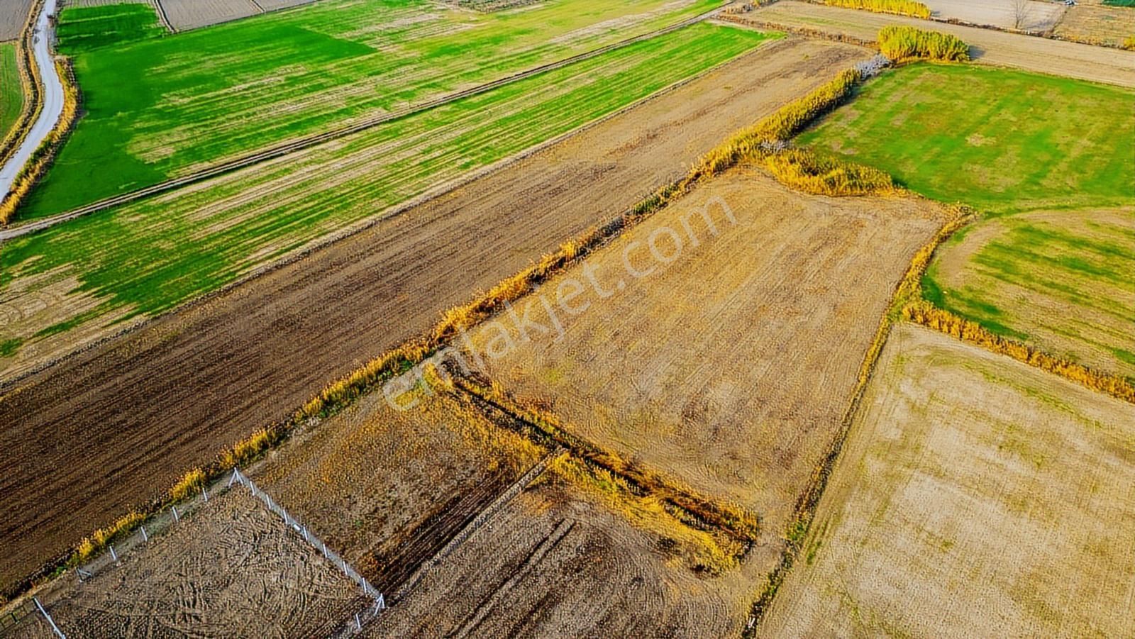 Foça Gerenköy'de Satılık 6.304 M2 Hisseli Tarla - Görsel 32