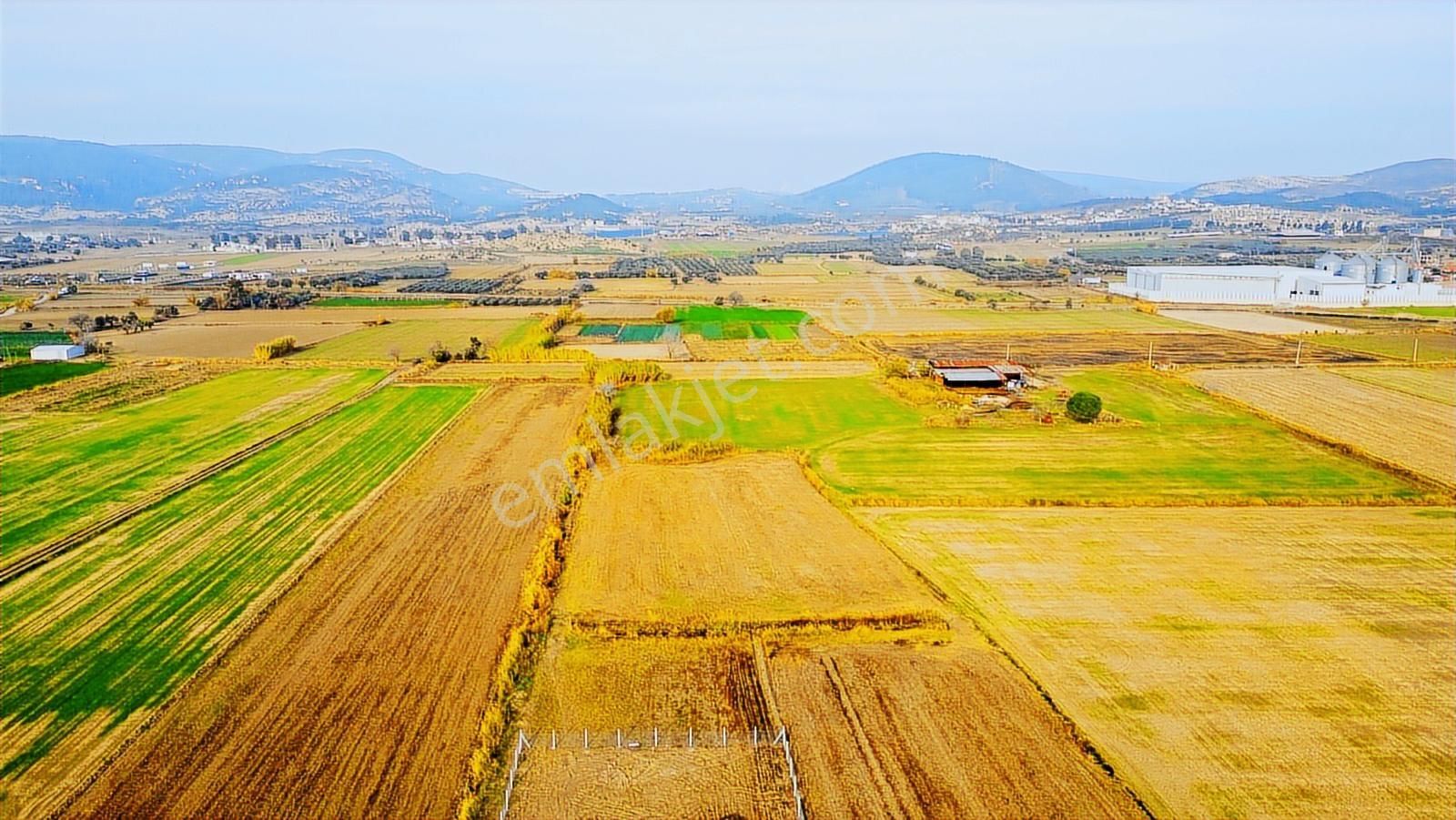 Foça Gerenköy'de Satılık 6.304 M2 Hisseli Tarla - Görsel 2