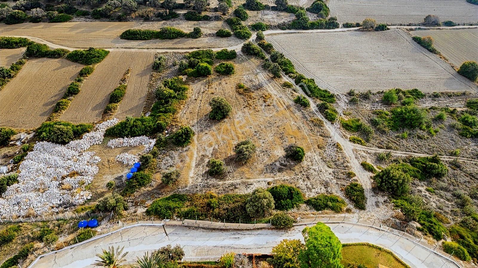 Çeşme Şehitmehmet Mahallesinde Satılık Tarla - Görsel 28