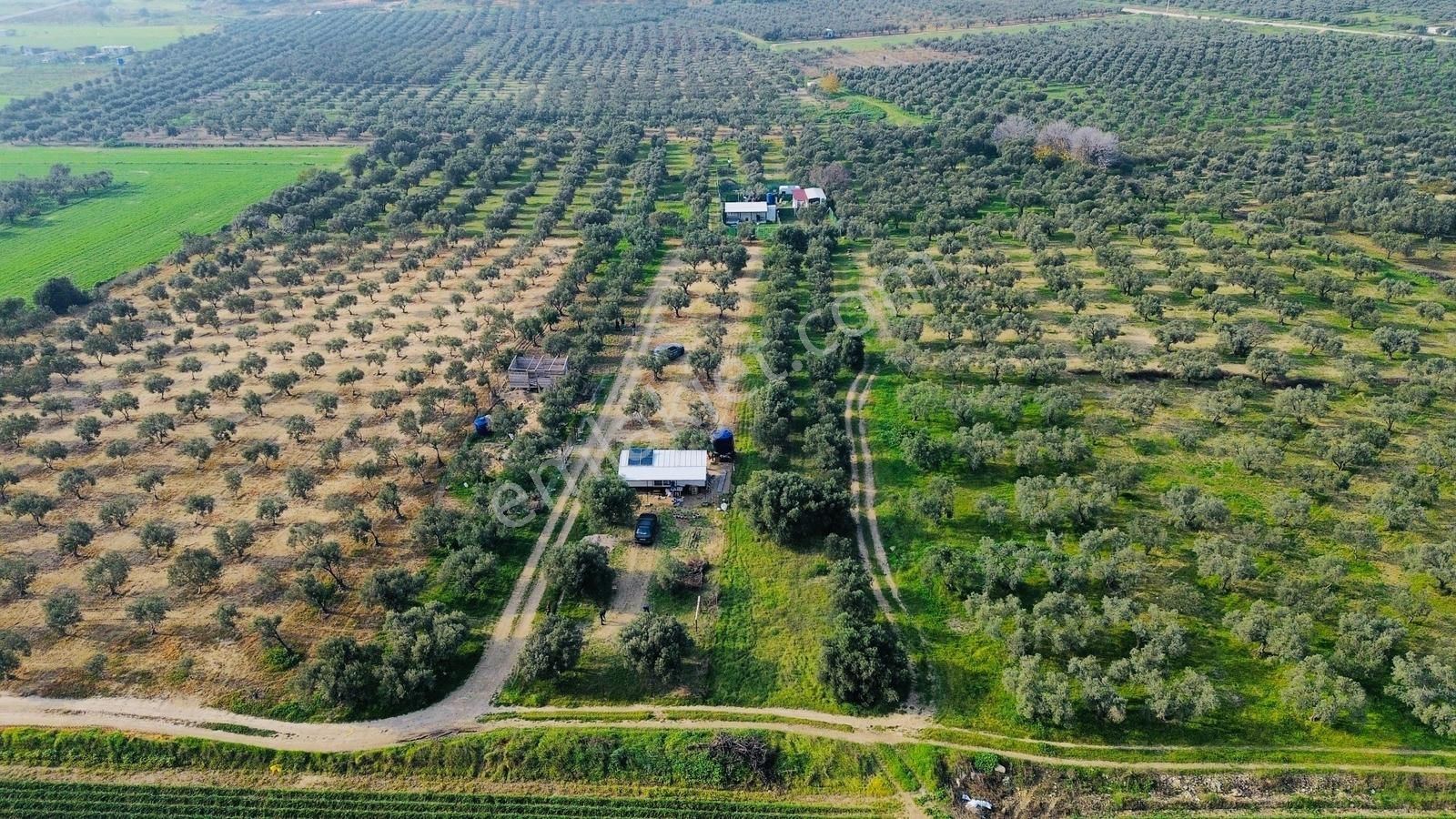 Foça Gerenköy'de Satılık 424 M2 Tarla - Görsel 11