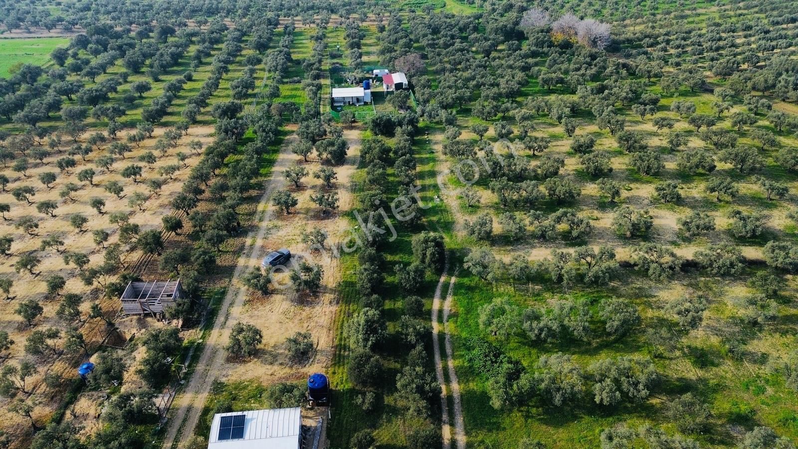 Foça Gerenköy'de Satılık 424 M2 Tarla - Görsel 27