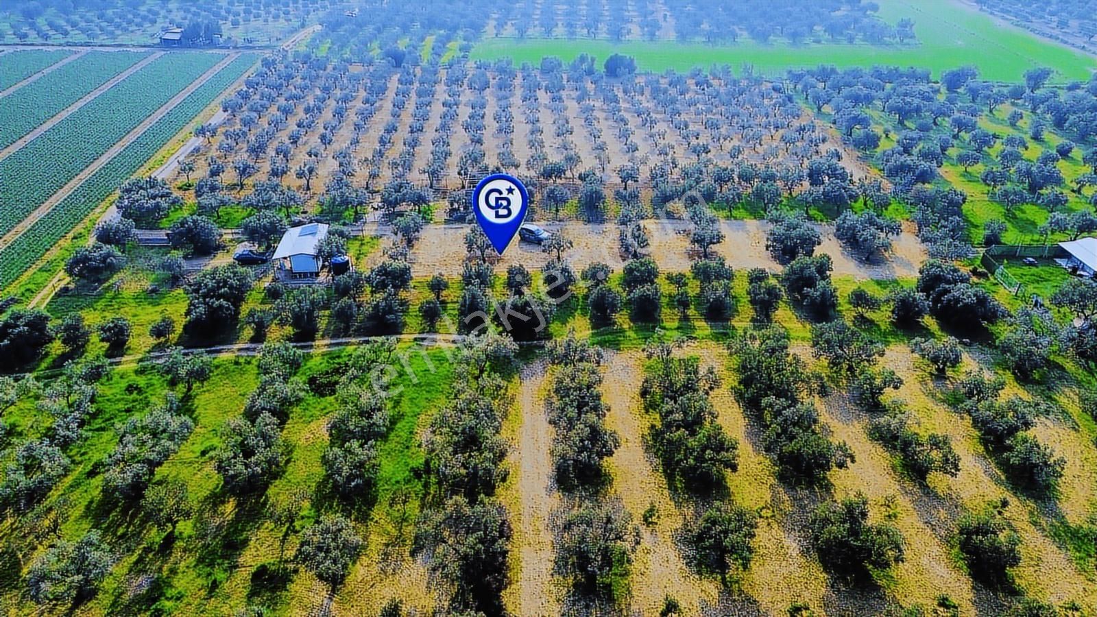 Foça Gerenköy'de Satılık 424 M2 Tarla - Görsel 19