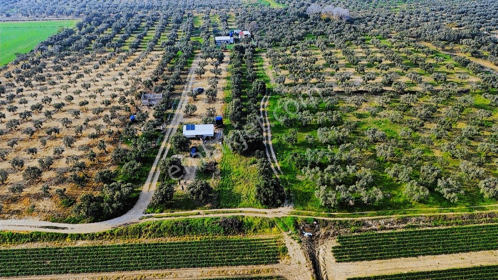 Foça Gerenköy'de Satılık 424 M2 Tarla - Görsel 15