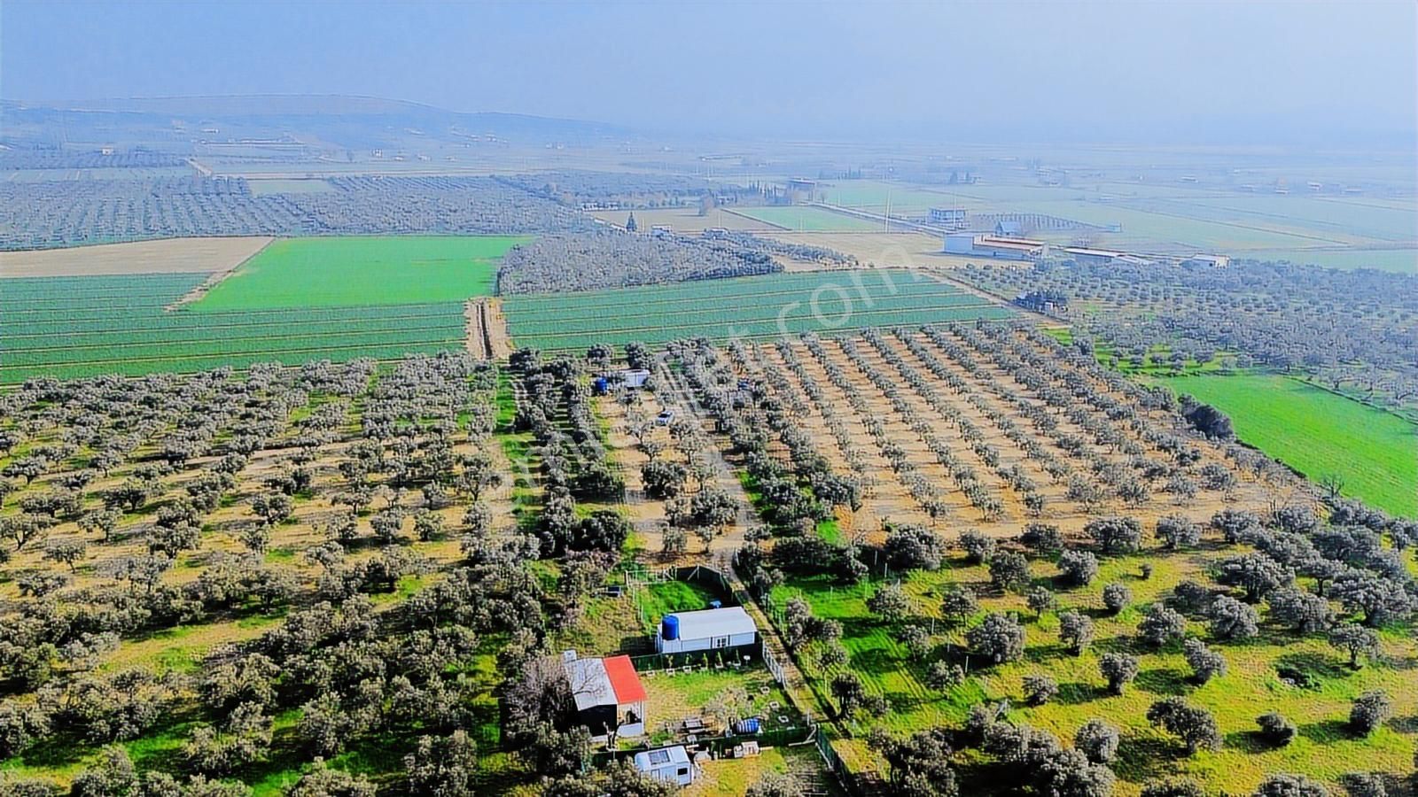 Foça Gerenköy'de Satılık 424 M2 Tarla - Görsel 9