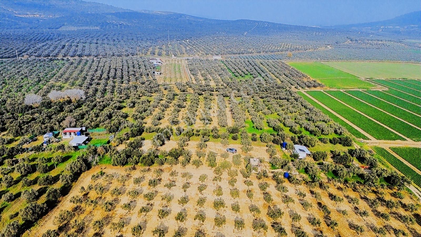 Foça Gerenköy'de Satılık 424 M2 Tarla - Görsel 12