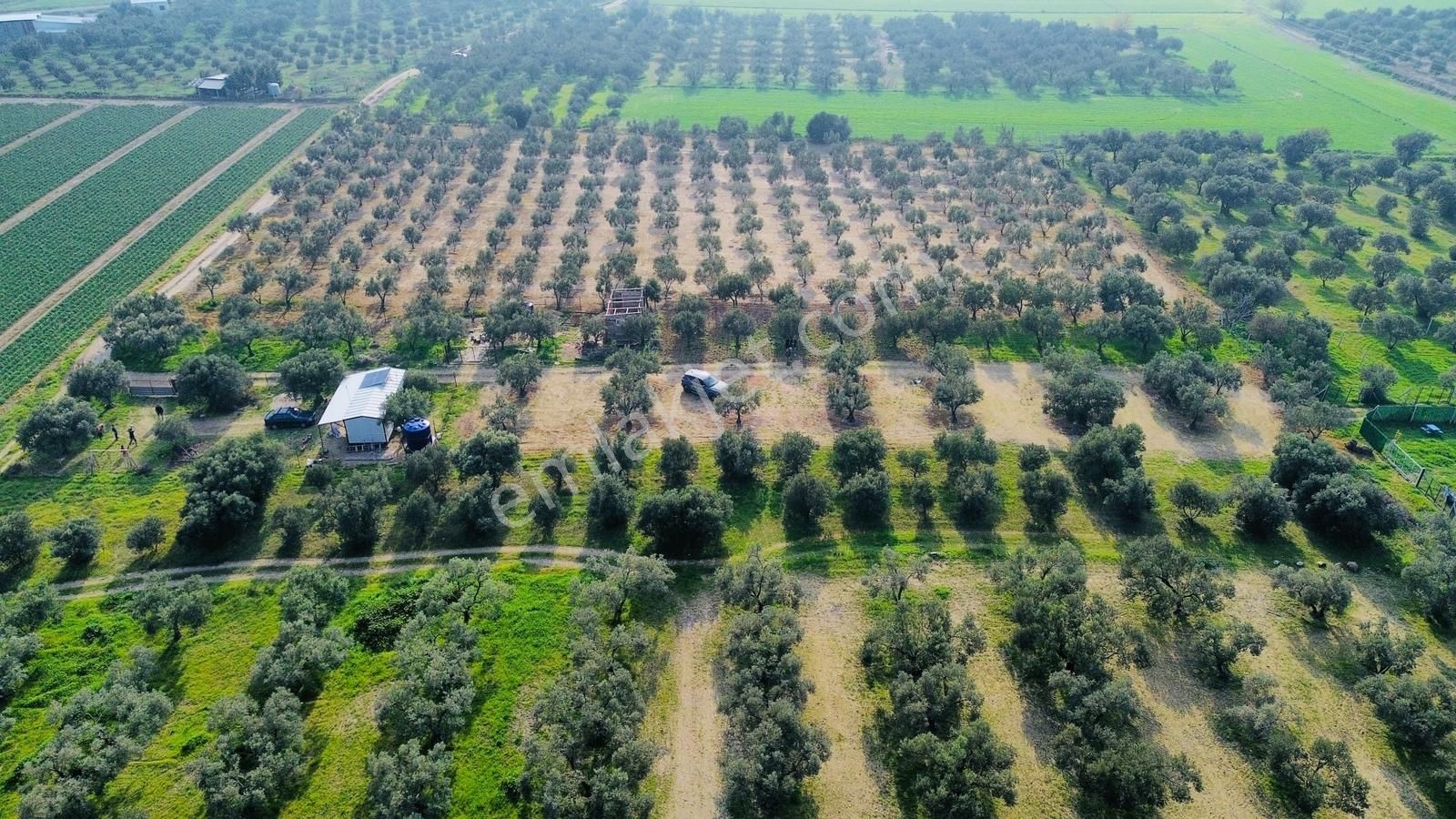 Foça Gerenköy'de Satılık 424 M2 Tarla - Görsel 2