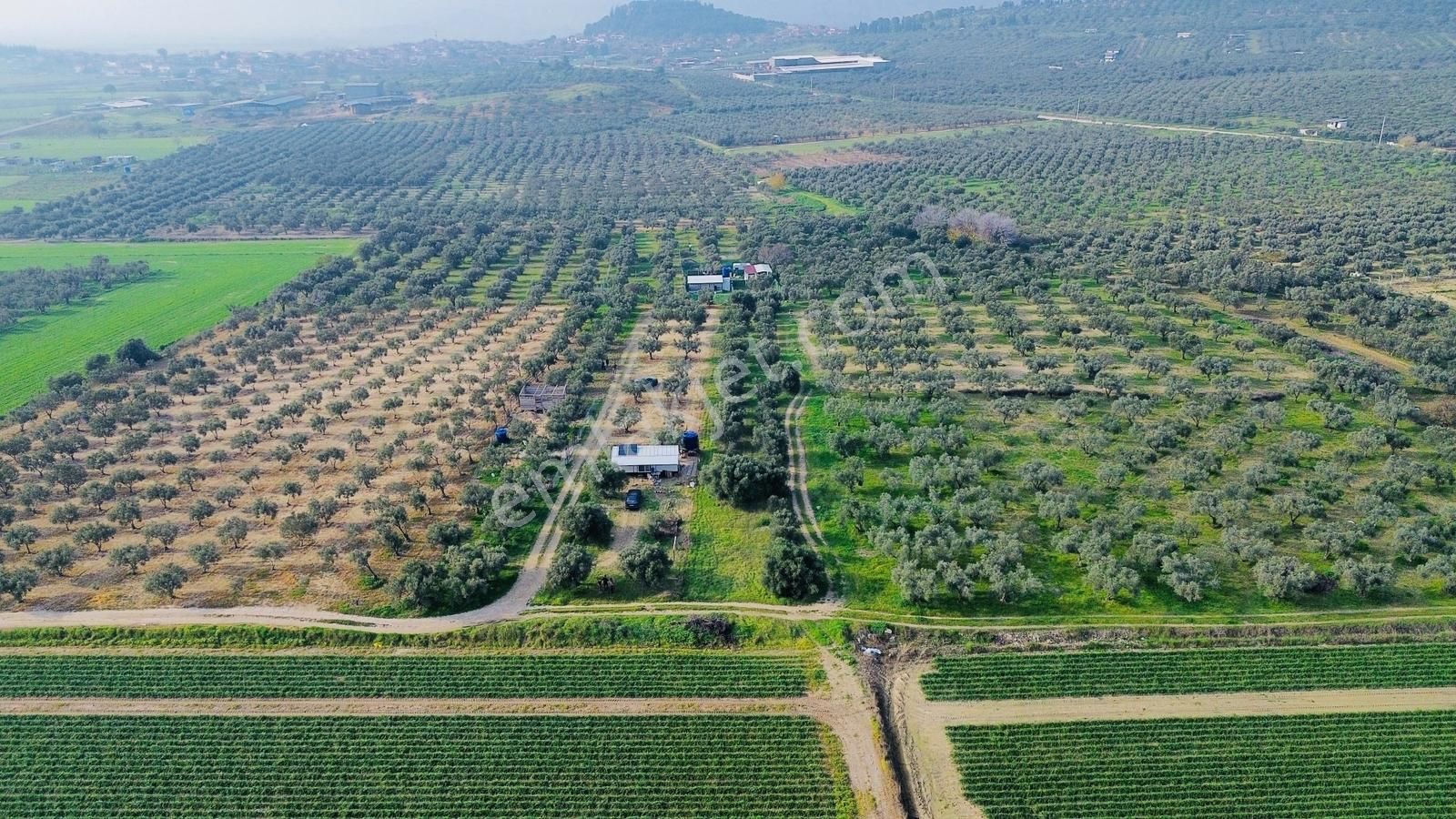 Foça Gerenköy'de Satılık 424 M2 Tarla - Görsel 4